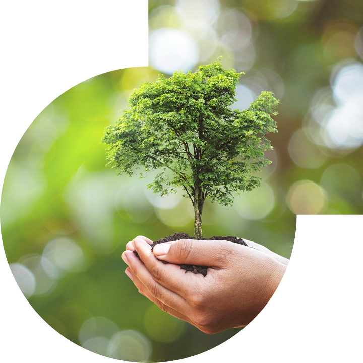 關懷人類、文化、環境與社會